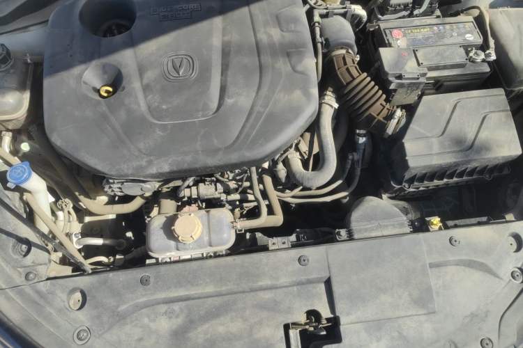Used CHANGAN Eado 2020 PLUS Blue Whale NE 1.4T GDI DCT Prestige Model Engine Bay