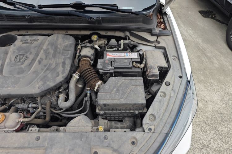 Used CHANGAN Eado 2020 PLUS Blue Whale NE 1.4T GDI DCT Prestige Model Engine Bay Left