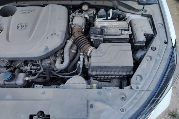 Used CHANGAN Eado 2020 PLUS Blue Whale NE 1.4T GDI DCT Prestige Model Engine Bay Left