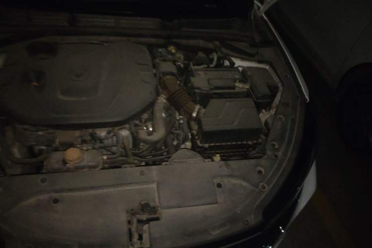 Used CHANGAN Eado 2020 PLUS Blue Whale NE 1.4T GDI DCT Prestige Model Engine Bay Left