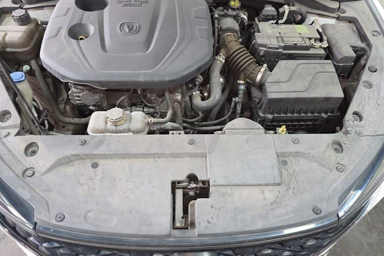 Used CHANGAN Eado 2020 PLUS Blue Whale NE 1.4T GDI DCT Flagship Model Engine Bay
