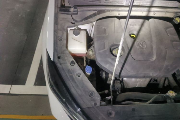 Used CHANGAN Eado 2020 PLUS 1.6L GDI Automatic Luxury Model Engine Bay Right