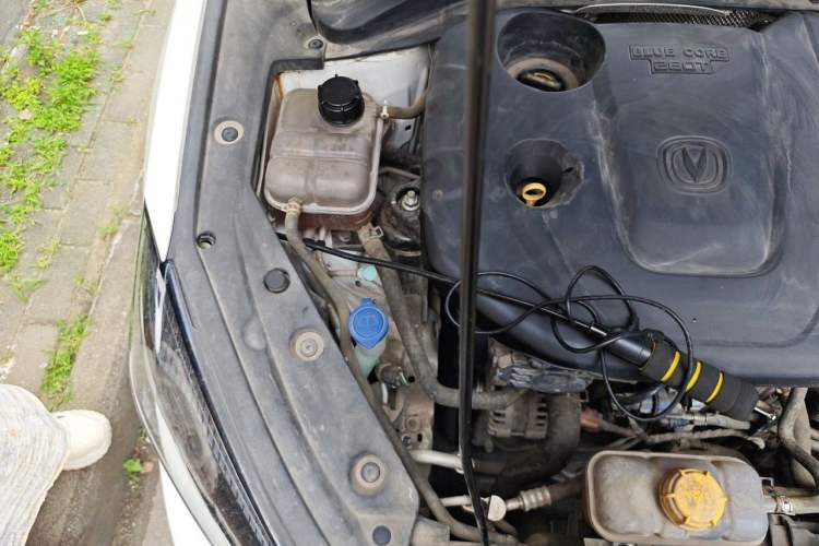 Used CHANGAN Eado 2020 PLUS Blue Whale NE 1.4T GDI DCT Prestige Model Engine Bay Right