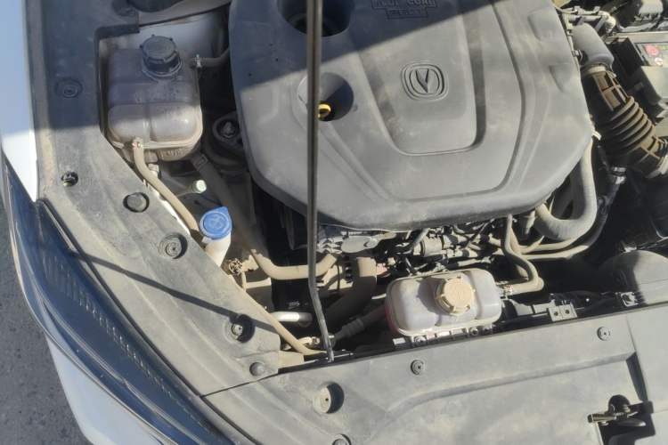 Used CHANGAN Eado 2020 PLUS Blue Whale NE 1.4T GDI DCT Prestige Model Engine Bay Right