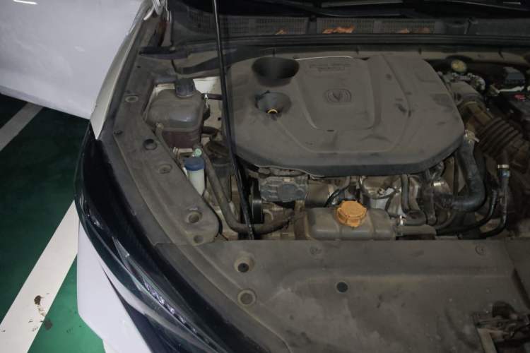 Used CHANGAN Eado 2020 PLUS Blue Whale NE 1.4T GDI DCT Prestige Model Engine Bay Right