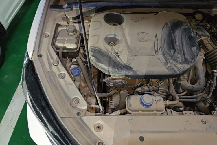 Used CHANGAN Eado 2020 PLUS Blue Whale NE 1.4T GDI DCT Flagship Model Engine Bay Right