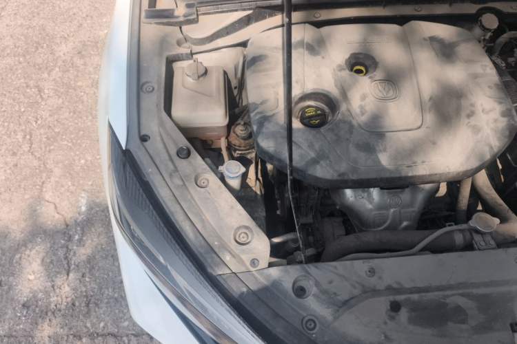 Used CHANGAN Eado 2020 PLUS 1.6L GDI Automatic Luxury Model Engine Bay Right