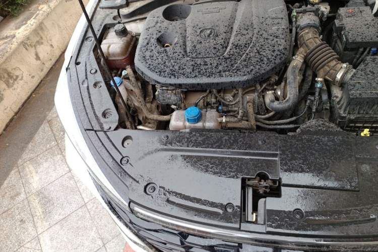 Used CHANGAN Eado 2020 PLUS Blue Whale NE 1.4T GDI DCT Prestige Model Engine Bay Right