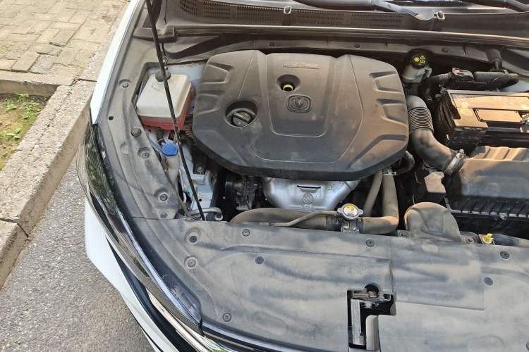 Used CHANGAN Eado 2020 PLUS 1.6L GDI Automatic Luxury Model Engine Bay Right