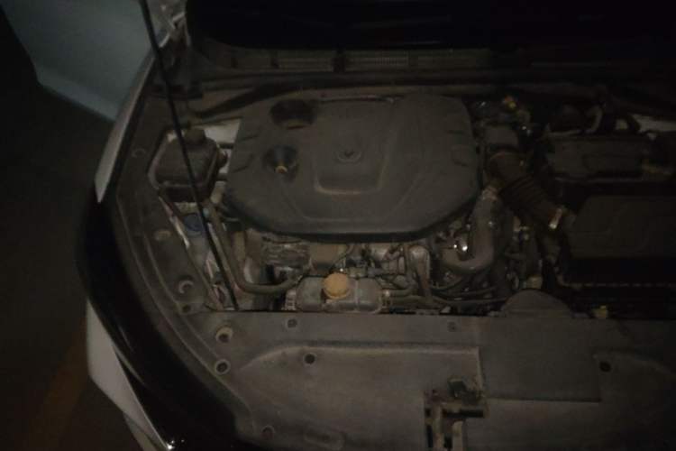 Used CHANGAN Eado 2020 PLUS Blue Whale NE 1.4T GDI DCT Prestige Model Engine Bay Right