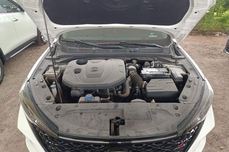 Used CHANGAN Eado 2020 PLUS Blue Whale NE 1.4T GDI DCT Prestige Model Engine Bay