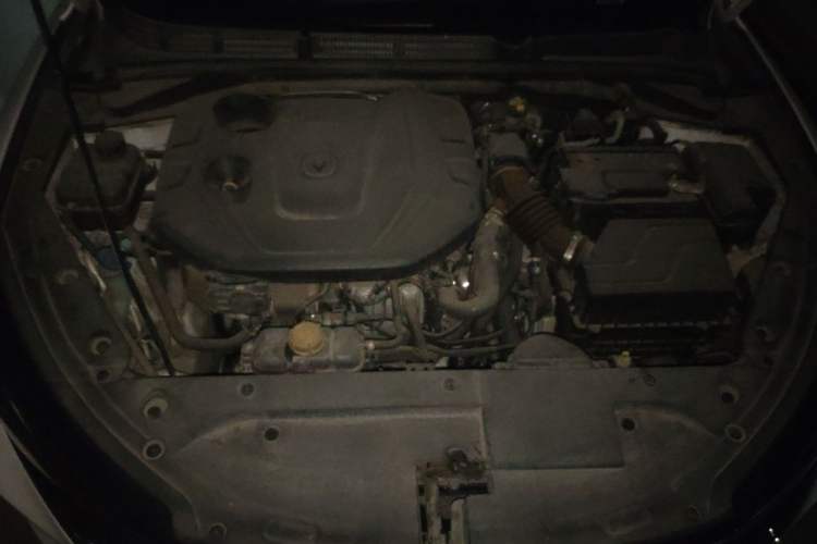 Used CHANGAN Eado 2020 PLUS Blue Whale NE 1.4T GDI DCT Prestige Model Engine Bay