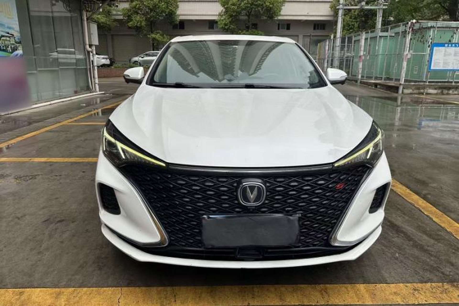 Used CHANGAN Eado 2020 PLUS Blue Whale NE 1.4T GDI DCT Flagship Model Exterior 4