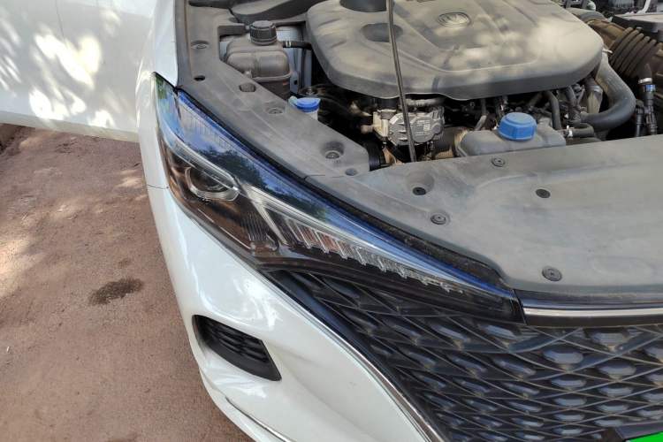 Used CHANGAN Eado 2020 PLUS Blue Whale NE 1.4T GDI DCT Prestige Model Exterior 6