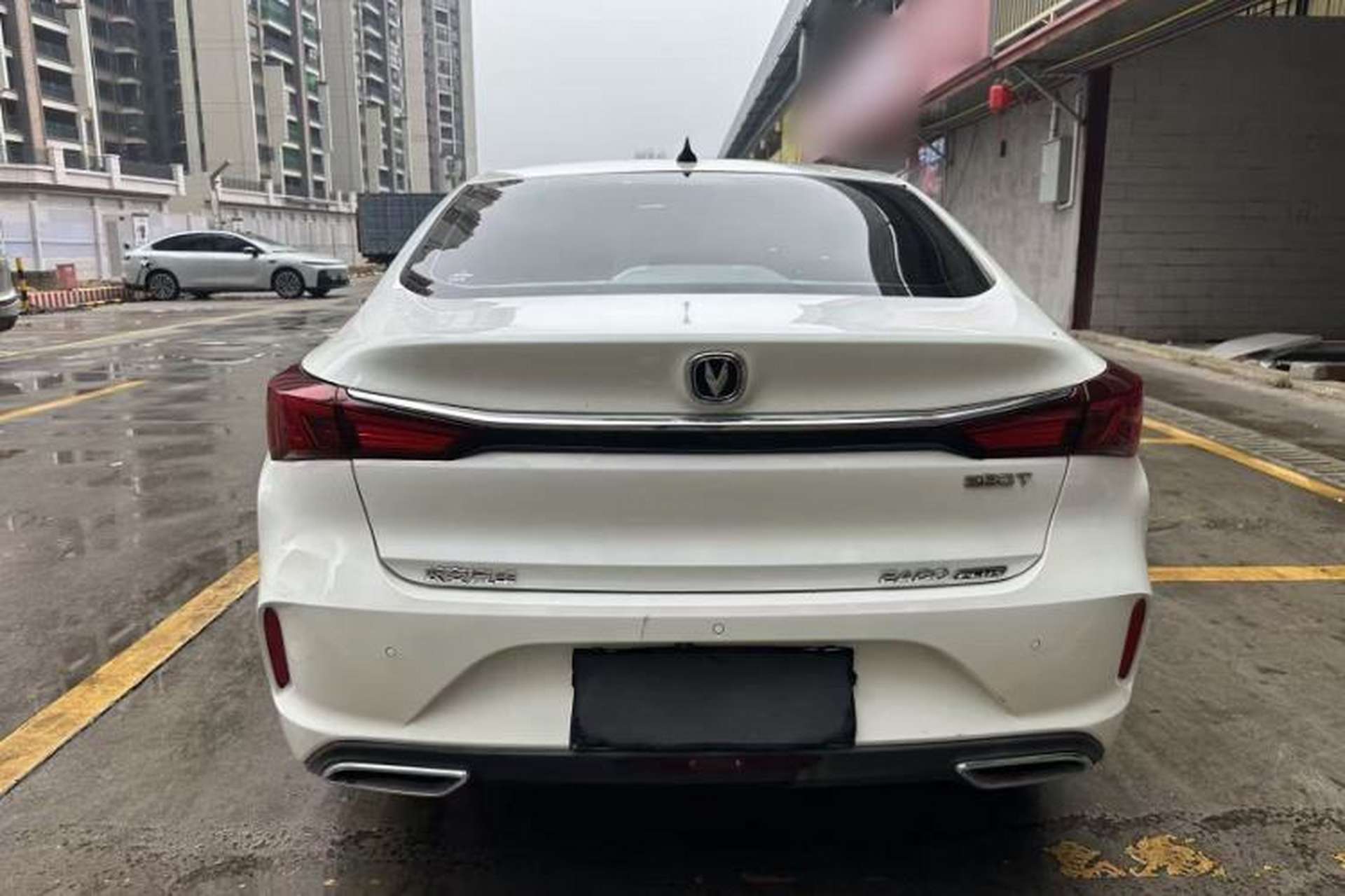 Used CHANGAN Eado 2020 PLUS Blue Whale NE 1.4T GDI DCT Flagship Model Exterior 7