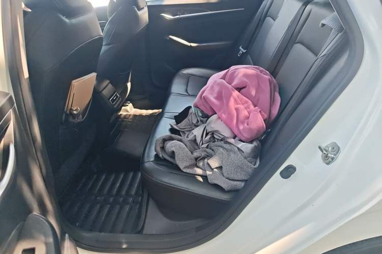 Used CHANGAN Eado 2020 PLUS Blue Whale NE 1.4T GDI DCT Prestige Model Left Rear Seat