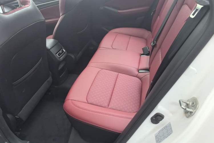 Used CHANGAN Eado 2020 PLUS Blue Whale NE 1.4T GDI DCT Flagship Model Left Rear Seat