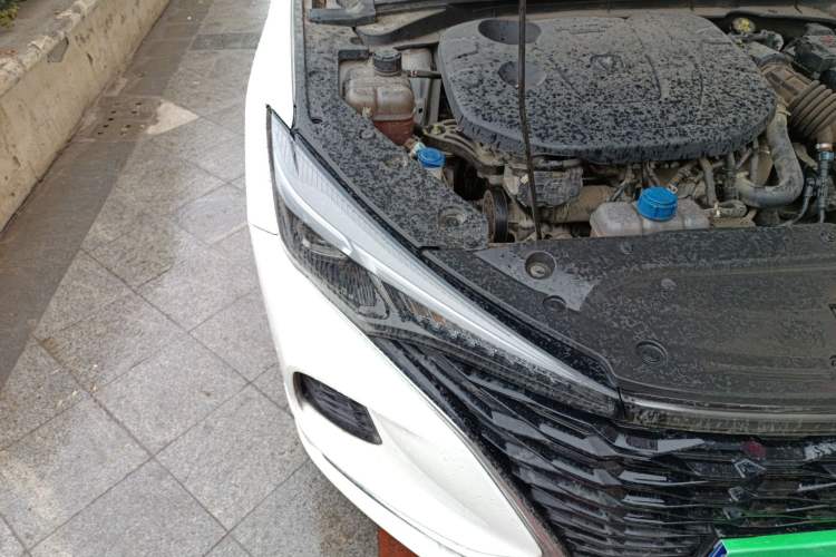 Used CHANGAN Eado 2020 PLUS Blue Whale NE 1.4T GDI DCT Prestige Model Right Front Headlight