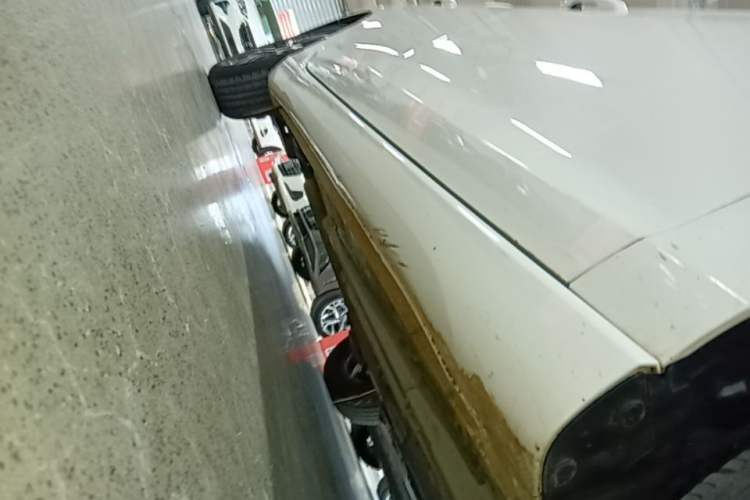 Used CHANGAN Eado 2020 PLUS Million Edition 1.6L GDI CVT Luxury Model Right Side Sill
