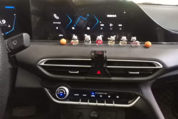 Used CHANGAN Eado 2021 PLUS Blue Whale NE 1.4T GDI DCT Flagship Model Audio And AC Panel