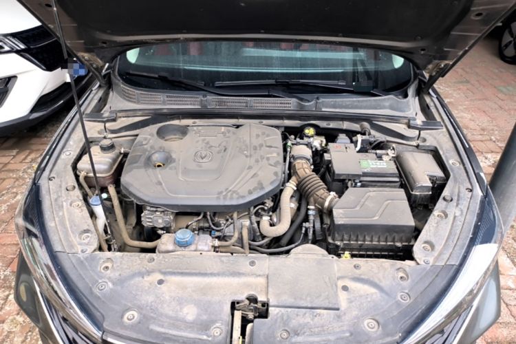 Used CHANGAN Eado 2021 PLUS Blue Whale NE 1.4T GDI DCT Prestige Model Engine Bay