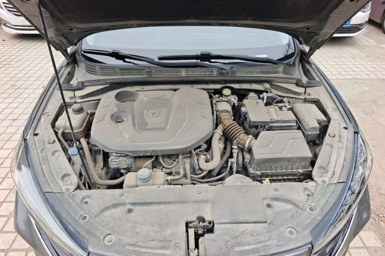 Used CHANGAN Eado 2021 PLUS Blue Whale NE 1.4T GDI DCT Prestige Model Engine Bay