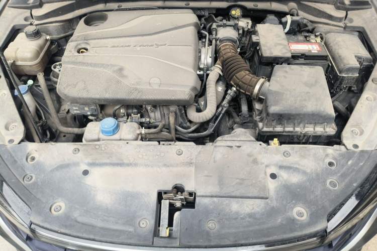 Used CHANGAN Eado 2021 PLUS Blue Whale NE 1.4T GDI DCT Prestige Model Engine Bay