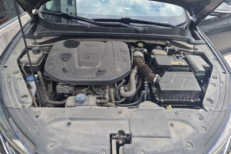 Used CHANGAN Eado 2021 PLUS Blue Whale NE 1.4T GDI DCT Prestige Model Engine Bay