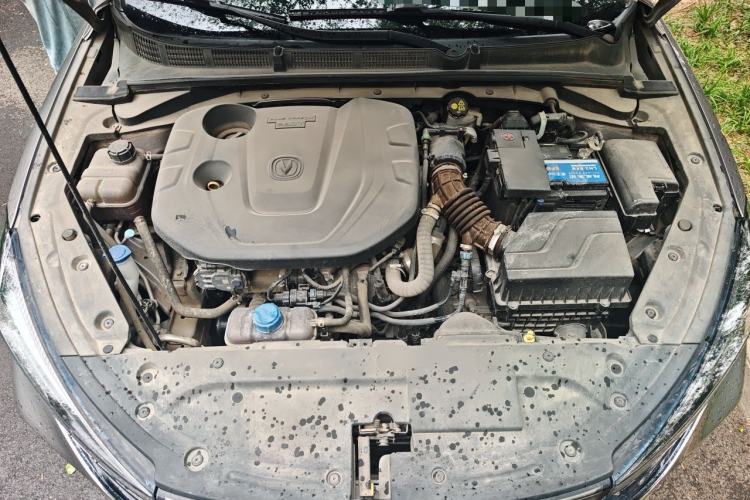 Used CHANGAN Eado 2021 PLUS Blue Whale NE 1.4T GDI DCT Prestige Model Engine Bay