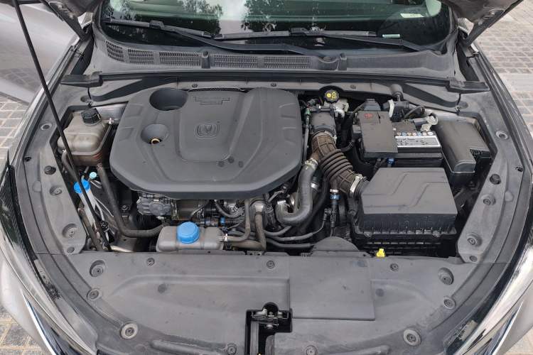 Used CHANGAN Eado 2021 PLUS Blue Whale NE 1.4T GDI DCT Prestige Model Engine Bay