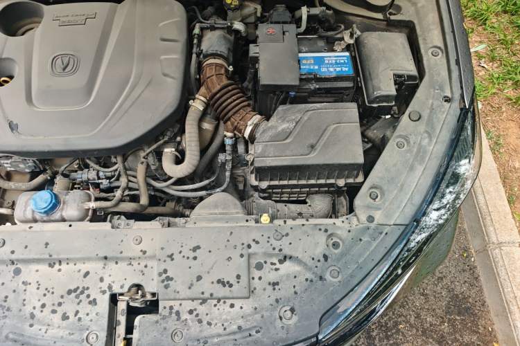 Used CHANGAN Eado 2021 PLUS Blue Whale NE 1.4T GDI DCT Prestige Model Engine Bay Left