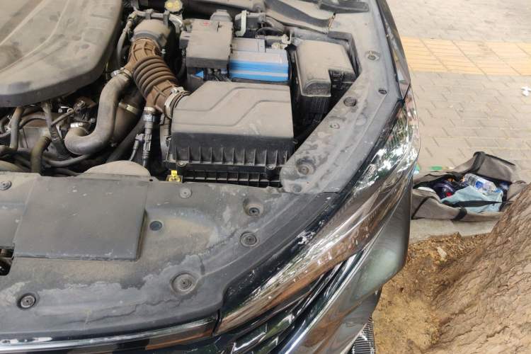 Used CHANGAN Eado 2021 PLUS Blue Whale NE 1.4T GDI DCT Prestige Model Engine Bay Left