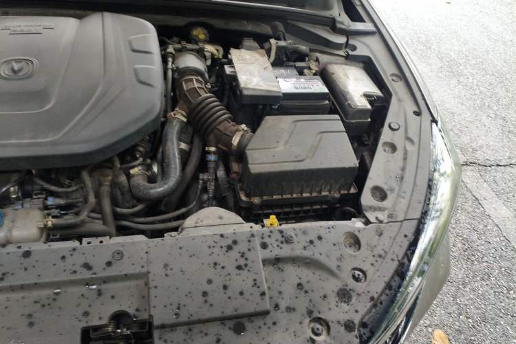 Used CHANGAN Eado 2021 PLUS Blue Whale NE 1.4T GDI DCT Prestige Model Engine Bay Left