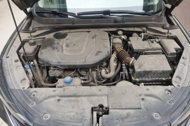 Used CHANGAN Eado 2021 PLUS Blue Whale NE 1.4T GDI DCT Prestige Model Engine Bay