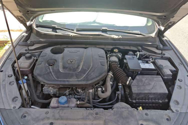 Used CHANGAN Eado 2021 PLUS Blue Whale NE 1.4T GDI DCT Prestige Model Engine Bay