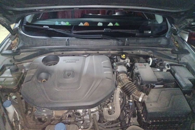 Used CHANGAN Eado 2021 PLUS Blue Whale NE 1.4T GDI DCT Prestige Model Engine Bay