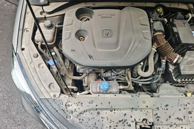 Used CHANGAN Eado 2021 PLUS Blue Whale NE 1.4T GDI DCT Prestige Model Engine Bay Right