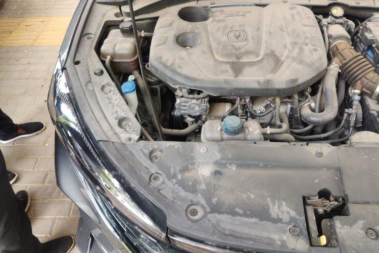 Used CHANGAN Eado 2021 PLUS Blue Whale NE 1.4T GDI DCT Prestige Model Engine Bay Right