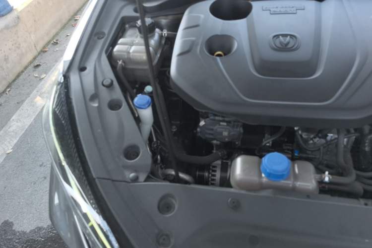 Used CHANGAN Eado 2021 PLUS Blue Whale NE 1.4T GDI DCT Prestige Model Engine Bay Right