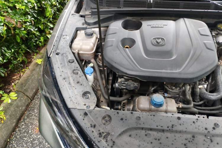 Used CHANGAN Eado 2021 PLUS Blue Whale NE 1.4T GDI DCT Prestige Model Engine Bay Right