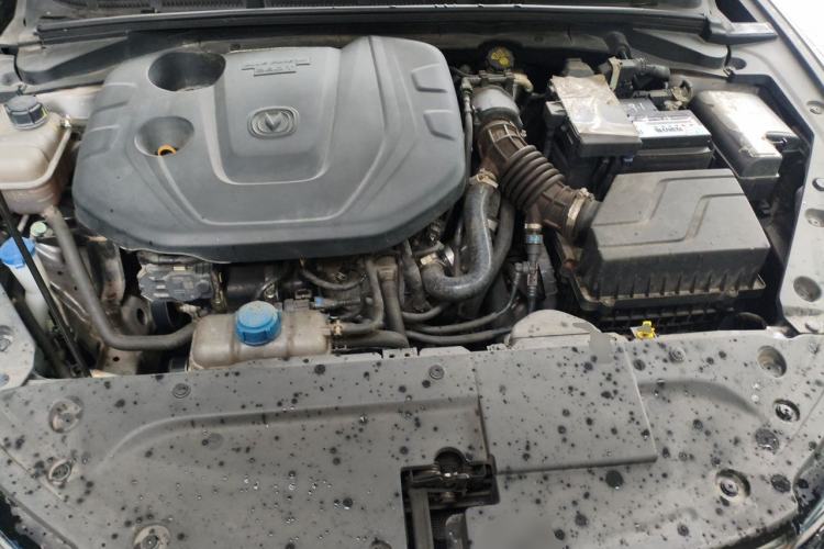 Used CHANGAN Eado 2021 PLUS Blue Whale NE 1.4T GDI DCT Prestige Model Engine Bay