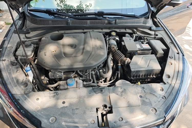 Used CHANGAN Eado 2021 PLUS Blue Whale NE 1.4T GDI DCT Prestige Model Engine Bay