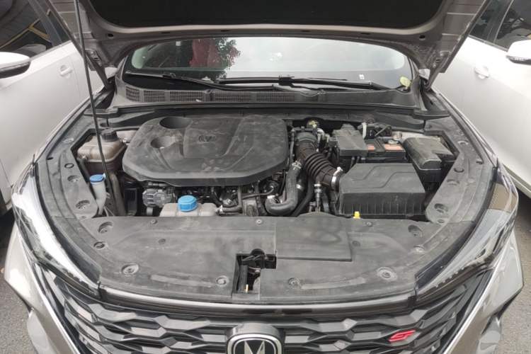 Used CHANGAN Eado 2021 PLUS Blue Whale NE 1.4T GDI DCT Prestige Model Engine Bay