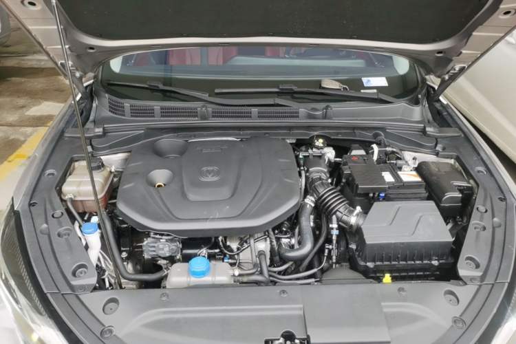 Used CHANGAN Eado 2021 PLUS Blue Whale NE 1.4T GDI DCT Prestige Model Engine Bay