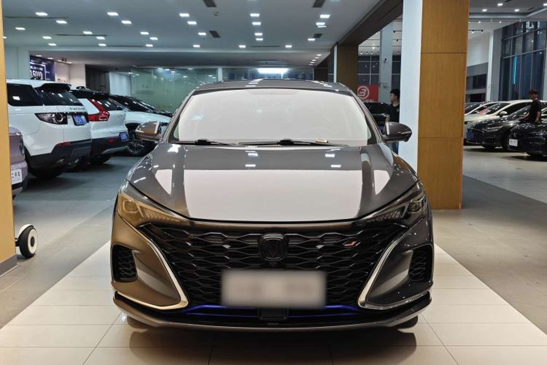 Used CHANGAN Eado 2021 PLUS Blue Whale NE 1.4T GDI DCT Prestige Model Exterior 12