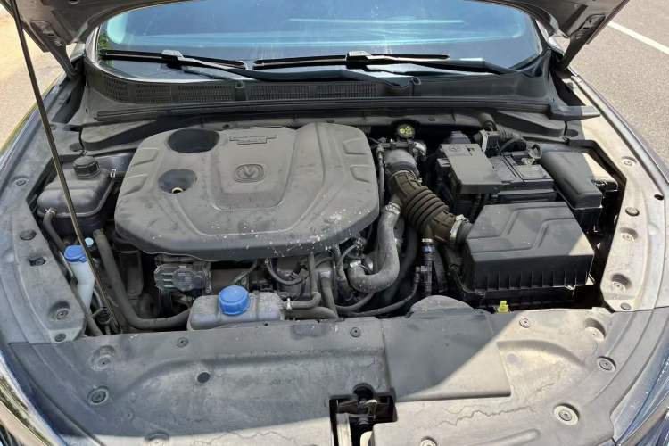 Used CHANGAN Eado 2021 PLUS Blue Whale NE 1.4T GDI DCT Flagship Model Interior 1