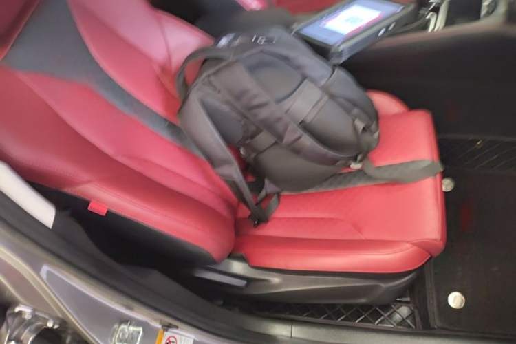 Used CHANGAN Eado 2021 PLUS Blue Whale NE 1.4T GDI DCT Prestige Model Right Front Seat