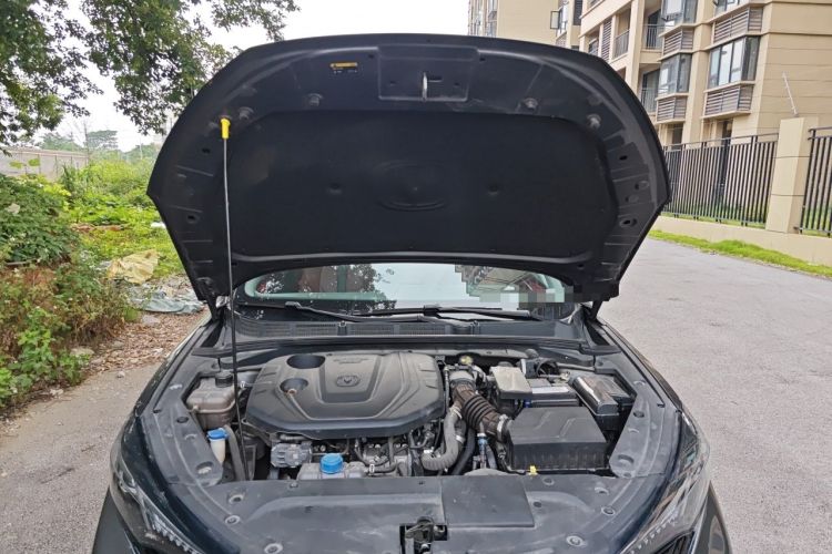 Used CHANGAN Eado 2021 PLUS Blue Whale NE 1.4T GDI DCT Flagship Model Engine Bay