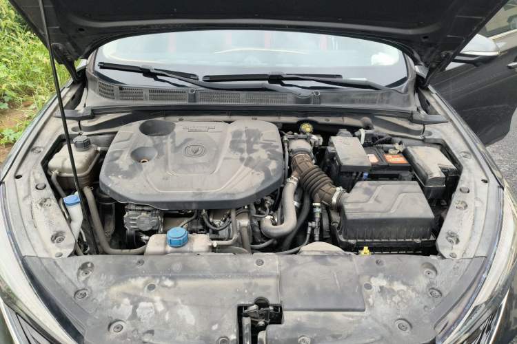 Used CHANGAN Eado 2021 PLUS Blue Whale NE 1.4T GDI DCT Prestige Model Engine Bay