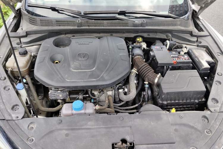 Used CHANGAN Eado 2021 PLUS Blue Whale NE 1.4T GDI DCT Prestige Model Engine Bay